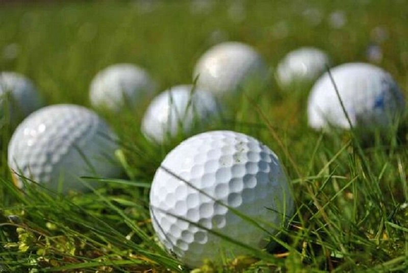 Những đối tượng mới tập golf nên sử dụng