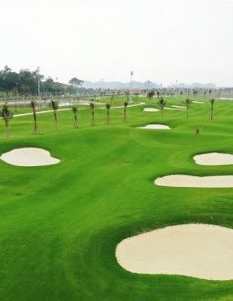 Sân golf Tuần Châu