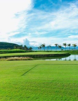 Sân golf Vinpearl Nha Trang được trồng bằng cỏ Seashore paspalum cao cấp