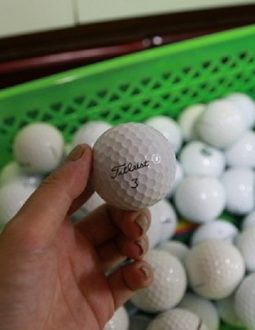 Bóng golf Titleist Pro V1 Cũ Chất Lượng, Giá Tốt