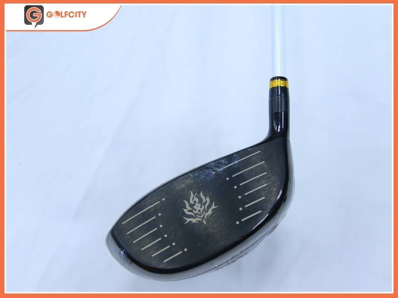 Kenichi Victory Fast Plus - Kế thừa và phát triển vượt bậc