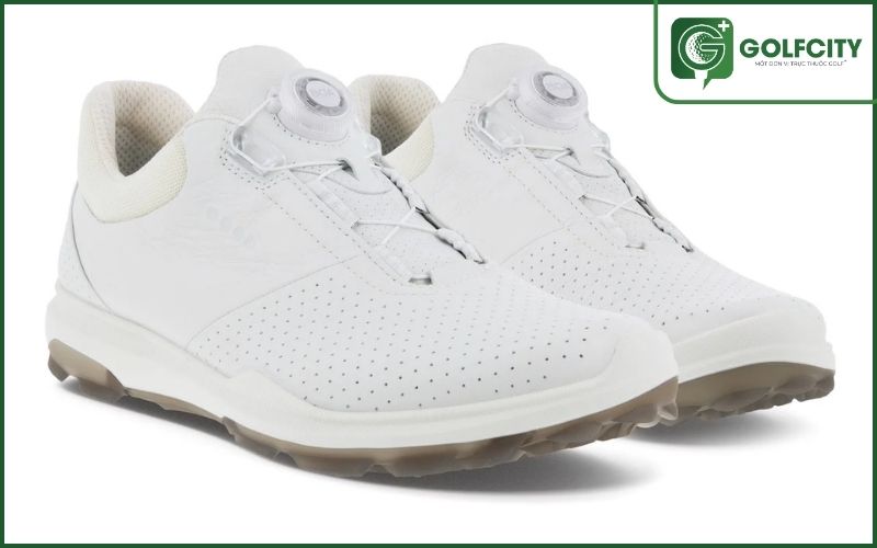 Giày Ecco Biom Hybrid 3 là sự lựa chọn tuyệt vời cho mọi golfer nam