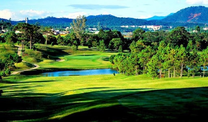 Sân golf Đà Lạt Palace  được trồng bằng loại cỏ cao cấp