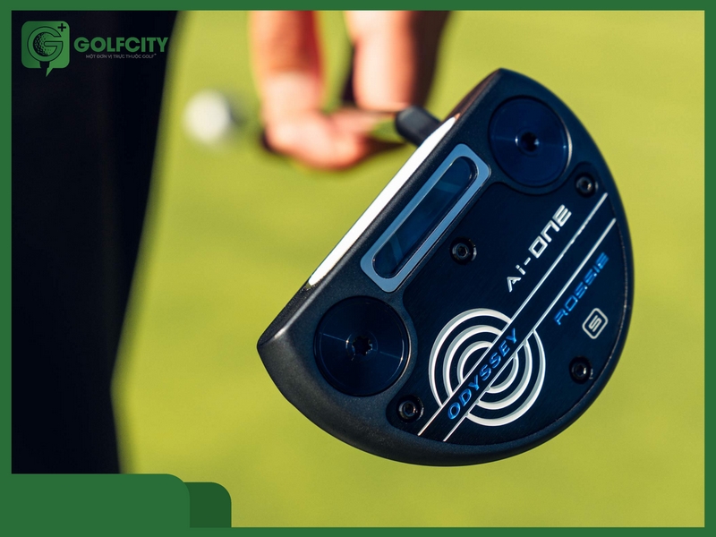 Trục thép nhẹ trọng lượng chỉ với 20-30 gram giúp các golfer căng chỉnh lực tốt nhất.