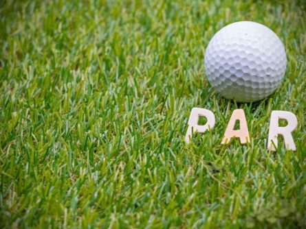 Par trong golf là số gậy tiêu chuẩn dự kiến golfer thực hiện để chinh phục hố golf, vòng golf