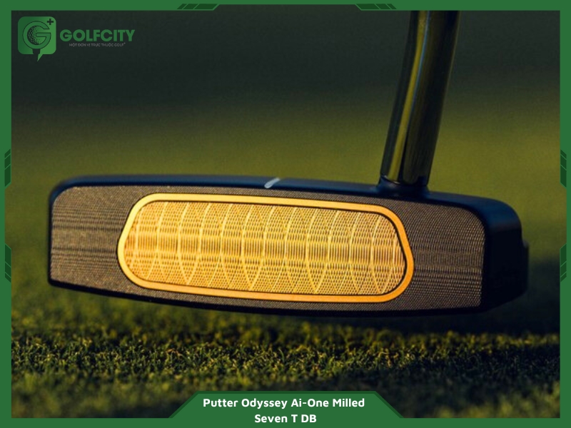 Gậy Odyssey Ai-One Milled Seven T DB phù hợp với những golfer có kỹ năng đánh bóng tốt, có đường bóng chính xác và ổn định