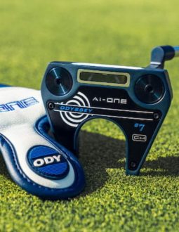 putter odyssey cũ