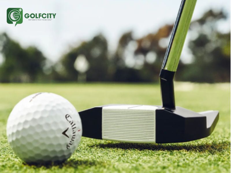 Ai-DUAL #7 ½ Ball S Putter